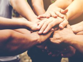 10 de diciembre Día del Trabajador Social: Su vocación de servicio y compromiso son fundamentales para garantizar derechos